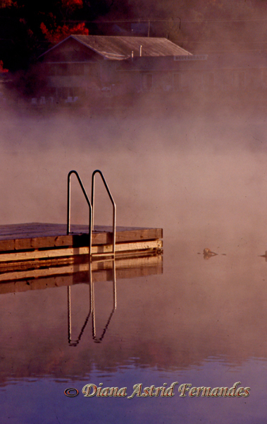 Canada---Dock-in-the-mist